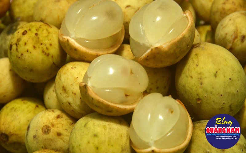 bòn bon Tiên Phước bòn bon Tiên Phước